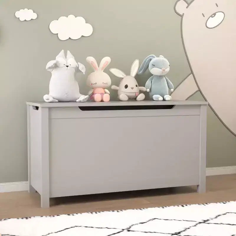 Baule porta giochi per bambini, mobile contenitore multiuso con coperchio incernierato di sicurezza, per bambini dai 2 anni in su, montaggio rapido