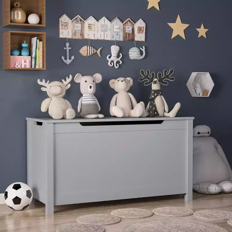 Baule porta giochi per bambini, mobile contenitore multiuso con coperchio incernierato di sicurezza, per bambini dai 2 anni in su, montaggio rapido